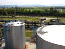 Petroleum storage tank with ponton