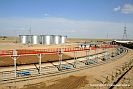 Oil terminal domain